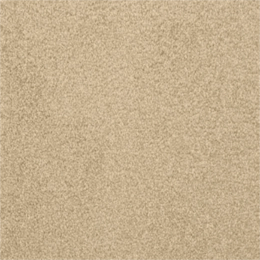 245425190 500x500 52842d02 c660 4be6 9887 405866684fab 303x303 1 - DH Floors